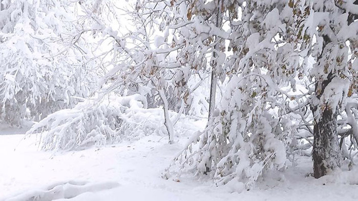 Най-големият снеговалеж за ден през месец декември от повече от