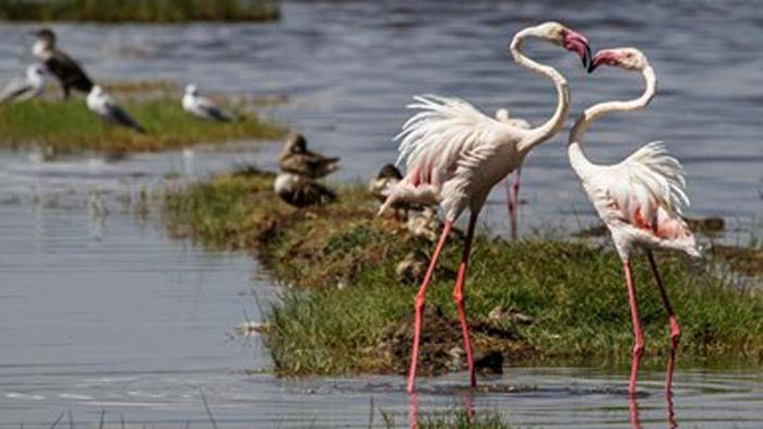 В Кения очакват екологична катастрофа, ако две препълнени езера се слеят