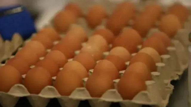 Практиката продължава: Яйца и пилешко от трети страни се преетикетират и се продават като български