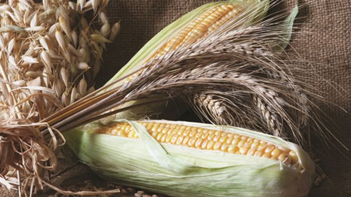 През първата седмица на 2024 г. промените в цените на