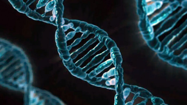 „Генетичната ножица“, която е напът да промени науката