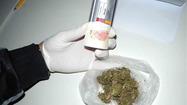 Намериха 10 кг канабис в дома на осъждан за наркотици във Врачанско