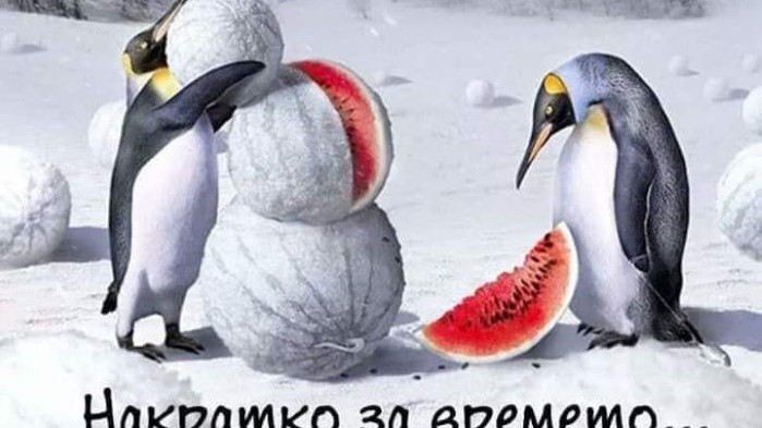 Дъжд и сняг днес в Източна България
