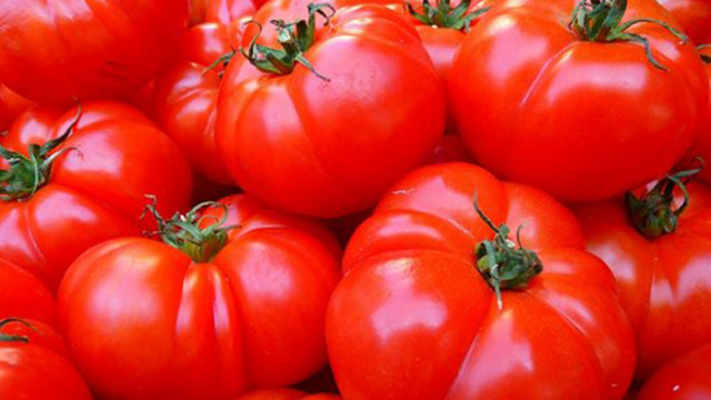 Производители на оранжерийни домати не могат да покрият високите енергийни