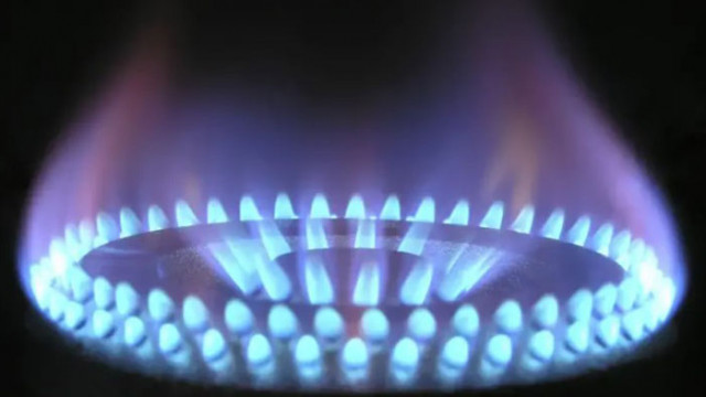 Булгаргаз предлага по ниска цена на природния газ от февруари Синьото