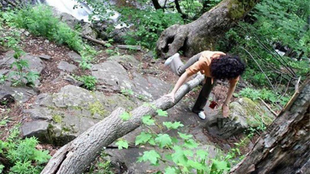 Падналият край Боянския водопад е спасен, но в безсъзнание