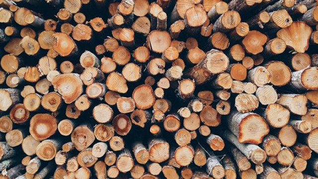 Увеличава се търсенето на дърва за огрев в Североизточна България