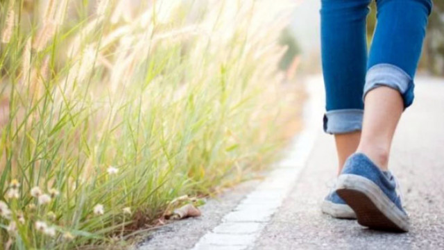Учени установиха оптималния брой крачки на ден Всякакъв вид разходка