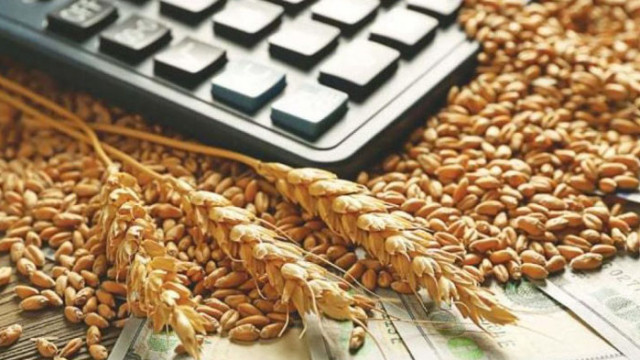 Зърнопроизводителите отново са в протестна готовност
