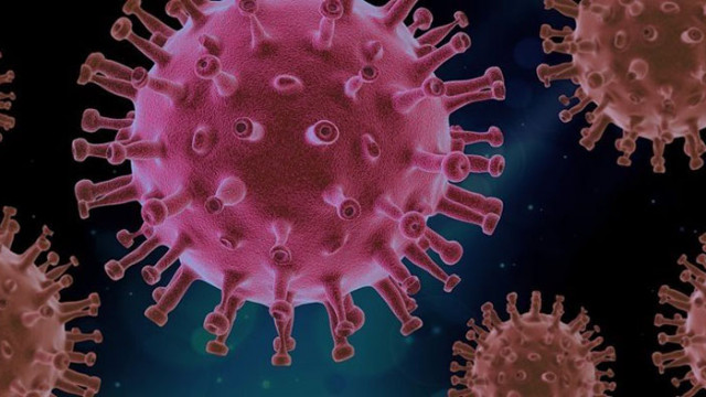 Учени изследват реакциите на организма на вариантите на новия коронавирус