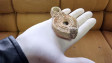 През последния сезон археолозите са открили над 800 нови артефакта и подови мозайки в Девня
