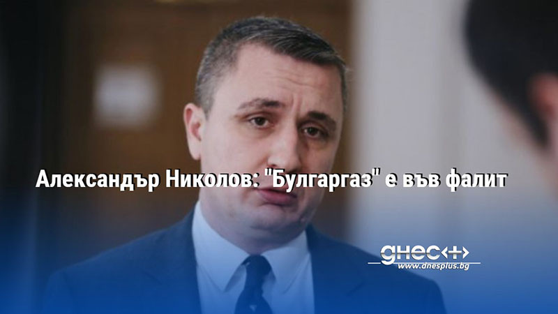 Александър Николов: "Булгаргаз" е във фалит
