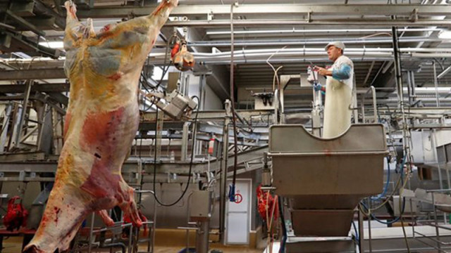 Българин почина от задушаване в цех за месо в Белгия