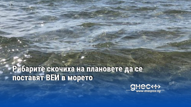 Рибарите скочиха на плановете да се поставят ВЕИ в морето