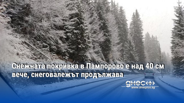 Снежната покривка в Пампорово е над 40 см вече, снеговалежът продължава