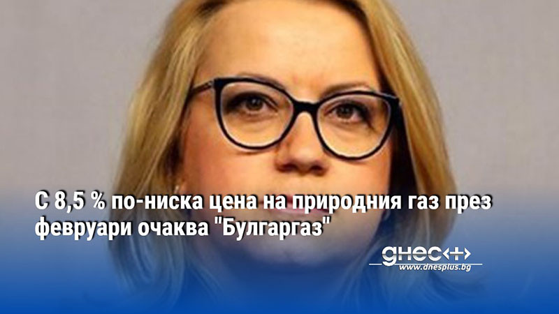 С 8,5 % по-ниска цена на природния газ през февруари очаква "Булгаргаз"