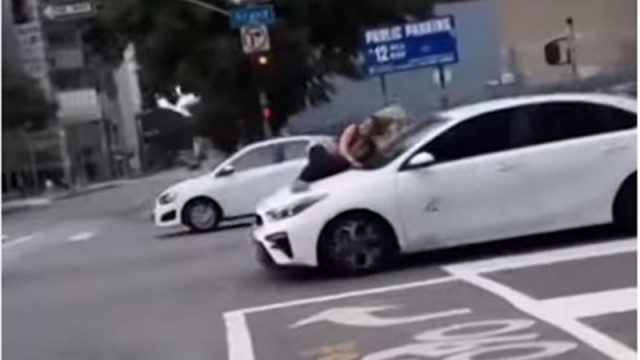 Жена скочи на капака на кола, в опит да спаси откраднато си куче (ВИДЕО)