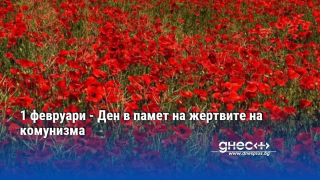 1 февруари - Ден в памет на жертвите на комунизма