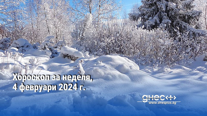 Хороскоп за неделя, 4 февруари 2024 г.