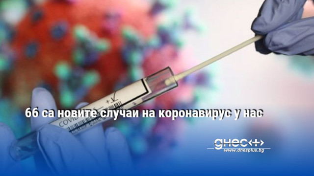 66 са новите случаи на коронавирус у нас