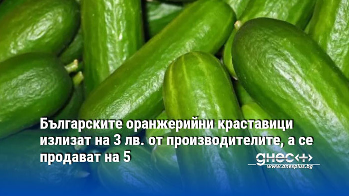 Първите български краставици, произведени в оранжериите у нас, вече се