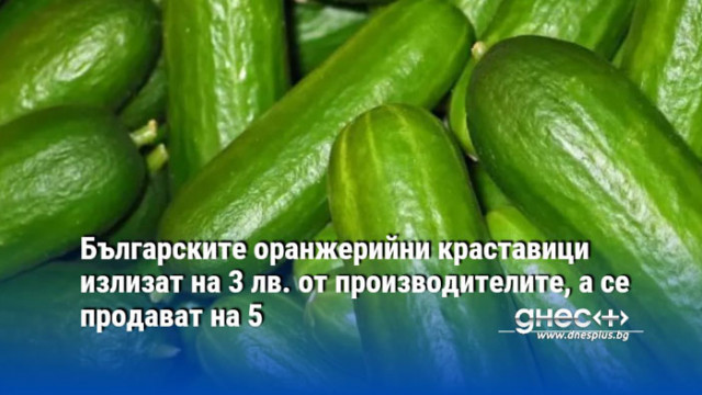 Българските оранжерийни краставици излизат на 3 лв. от производителите, а се продават на 5