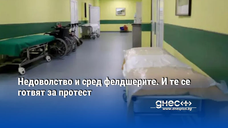 Те искат самостоятелна съсловна организация - Проблемът е сериозен. Нашите