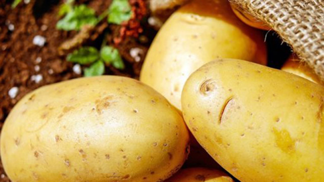 В Румъния откриха първата вендинг машина за картофи