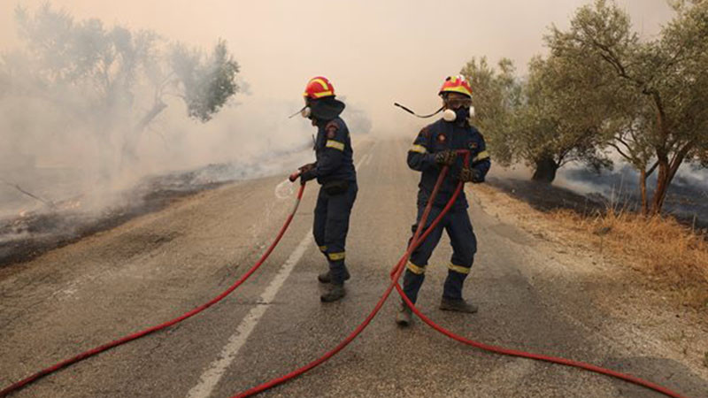 Потушени са 177 пожара в страната през изминалото денонощие, съобщиха