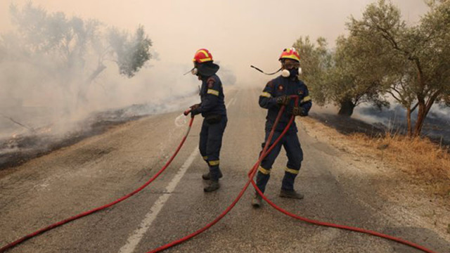 Загасени са 117 пожара в страната за един ден