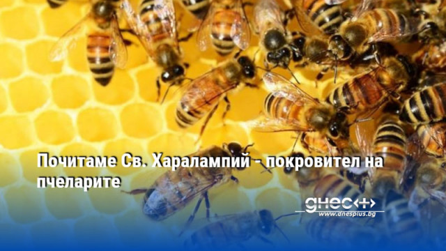 Почитаме Св. Харалампий - покровител на пчеларите
