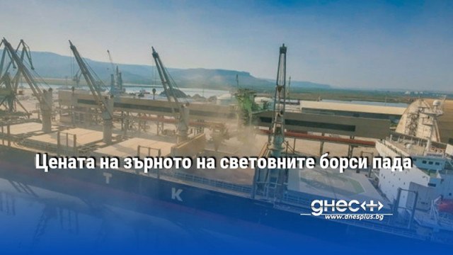 Цената на зърното на световните борси пада