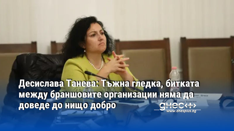 Десислава Танева: Тъжна гледка, битката между браншовите организации няма да доведе до нищо добро