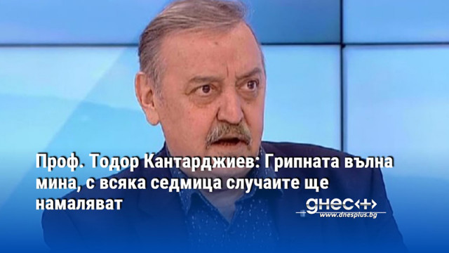 Проф. Тодор Кантарджиев: Грипната вълна мина, с всяка седмица случаите ще намаляват