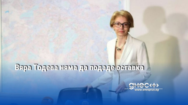 Областният управител на София Вяра Тодева заяви че всеки може