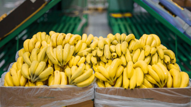 Еквадор се отказа да праща оръжия за Украйна, Русия вдигна забраната за еквадорски банани