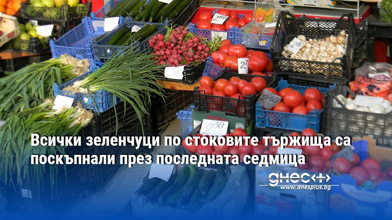 Всички зеленчуци по стоковите тържища са поскъпнали през последната седмица