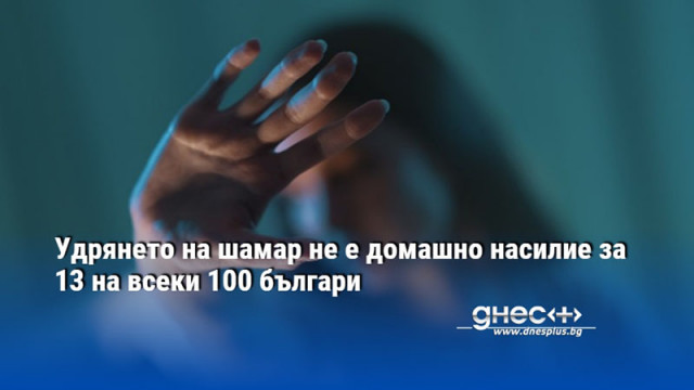 Удрянето на шамар не е домашно насилие за 13 на всеки 100 българи