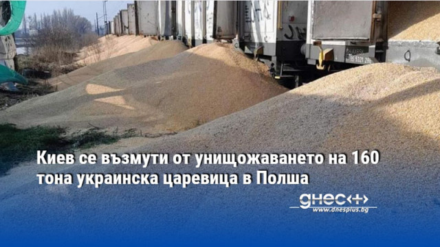 Киев се възмути от унищожаването на 160 тона украинска царевица в Полша