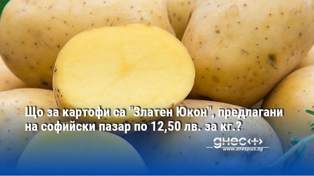 Що за картофи са "Златен Юкон", предлагани на софийски пазар по 12,50 лв. за кг.?