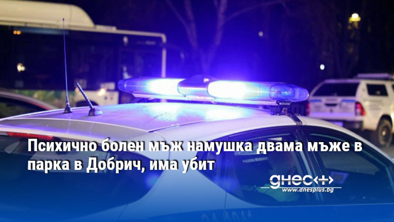 Двама мъже са били намушкани в градския парк в Добрич.