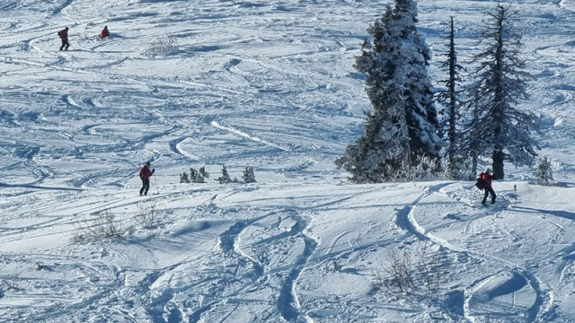 Големите ски центрове у нас изразяват задоволство от протичането на