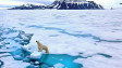 След милиони години: В най-скоро време Арктика ще преживее първия си ден без лед