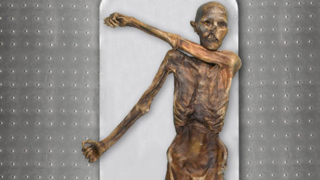 Леденият човек Йоци чиято мумия е на 5300 години се