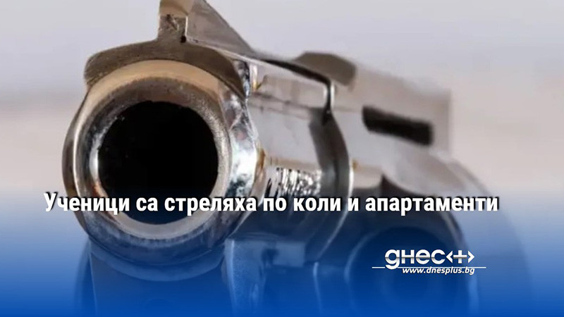 Полицията в Плевен задържа две момчета на 15 и 16