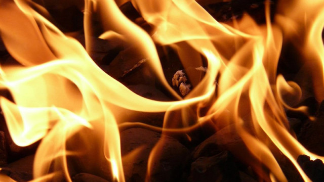 Общо 117 пожара са ликвидирани в страната през последното денонощие