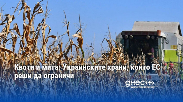 Квоти и мита: Украинските храни, които ЕС реши да ограничи