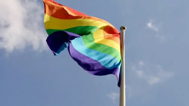 Грузия ограничи правата на ЛГБТИ-общността със закон