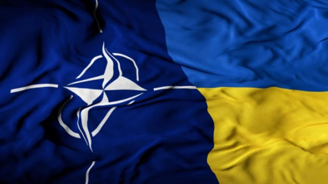 Постоянният комитет на Парламентарната асамблея на НАТО реши да създаде