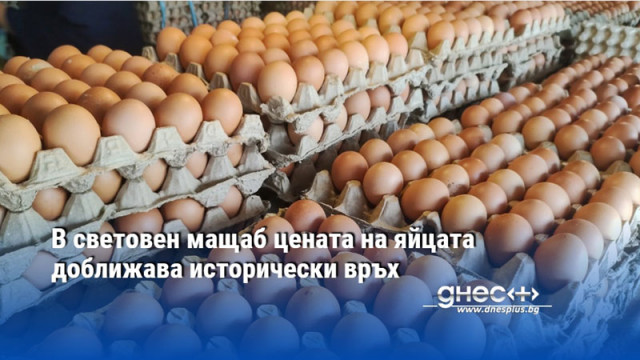 В световен мащаб цената на яйцата доближава исторически връх